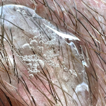 Set Complet Pentru Cresterea Barbii cu Biotina, Arginina si Turmeric, Copenhagen Grooming, Ser barba, Dermaroller, Dezinfectant Dermaroller, pieptene barba - imagine 7